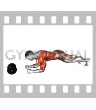 Plank Alternate Anti Gravity Pull-up