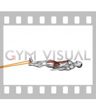 Resistance Band Lying Bent Knee Raise (male)