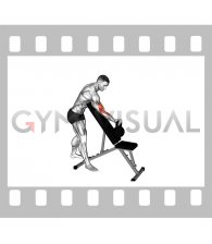 Kettlebell Standing One Arm Curl Over Incline Bench
