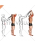 Assisted Standing Triceps Extension (with towel)