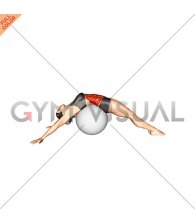 Back Stretch on Stability Ball (female)