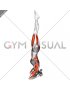 Supported Headstand Yoga Pose Sirsasana (female)