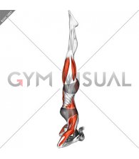 Supported Headstand Yoga Pose Sirsasana (female)