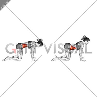 890 Cow Yoga Pose Stock Photos - Free & Royalty-Free Stock Photos from  Dreamstime