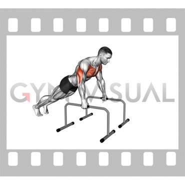 Deep Push-up on Parallel Bars (male)