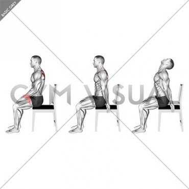 Sitting Scapular Adduction (male)