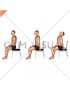 Sitting Scapular Adduction (male)