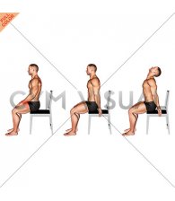 Sitting Scapular Adduction (male)
