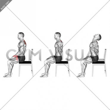 Sitting Scapular Adduction (VERSION 2) (male)