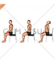 Sitting Scapular Adduction (VERSION 2) (male)