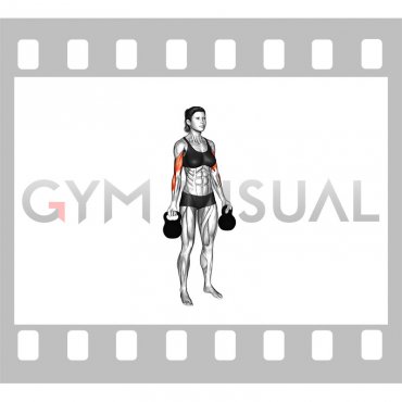 Kettlebell Biceps Curl (female)