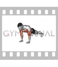 Lever Push-up (male)