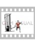 Cable Half Kneeling Lift (male)