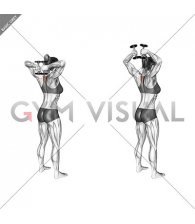 Dumbbell Standing T-spine Press (female)