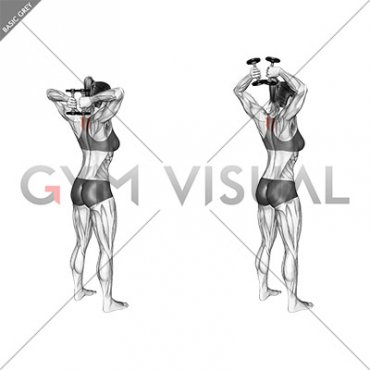 Dumbbell Standing T-spine Press (female)