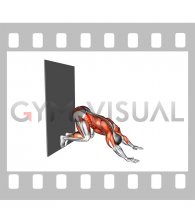 Downward Dog Push-up against Wall (male)