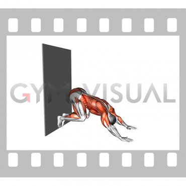 Downward Dog Push-up against Wall (male)