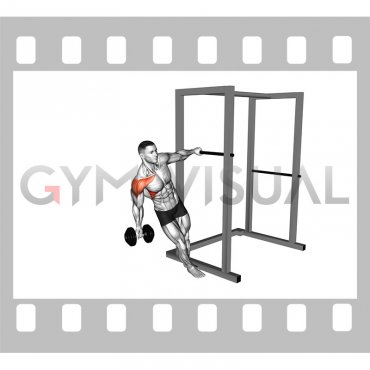 Dumbbell Learning Front Raise (male)