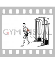 Cable Neutral Grip Biceps Curl