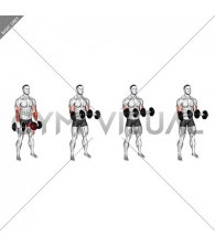 Dumbbell Standing Reverse Curl Rotate (male)