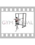 Band Standing Chest Press (female)