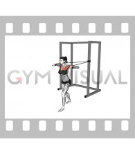 Band Standing Chest Press (female)