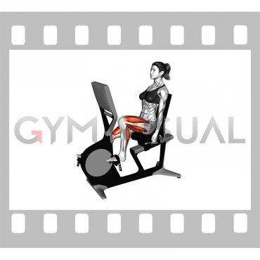 Bicycle Recline Walk (female)