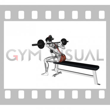 Barbell Seated Good Morning (female)