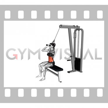 Cable Seated Crunch (female)
