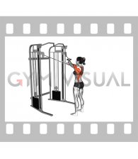 Cable Cross over Lateral Pulldown (female)