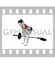 Lever Bent over Row (plate loaded) (female)