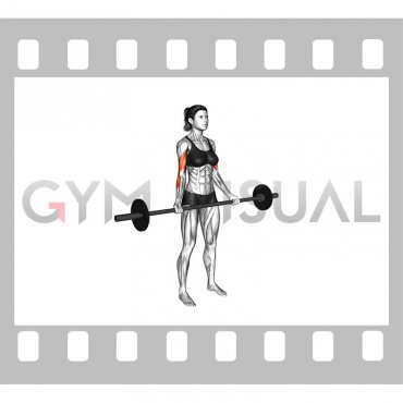 Barbell Standing Wide grip Curl (female)