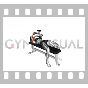 Dumbbell Lying One Arm Pronated Triceps Extension (female)