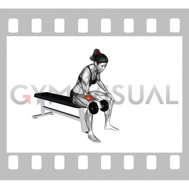 Dumbbell One Arm Reverse Wrist Curl (female)