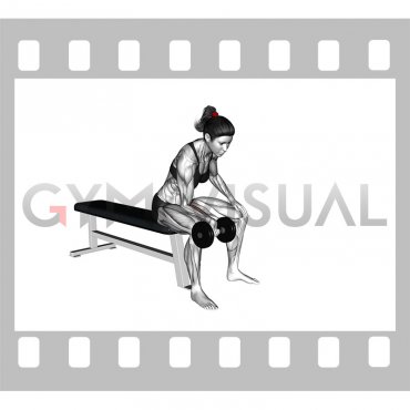 Dumbbell One Arm Wrist Curl (female)