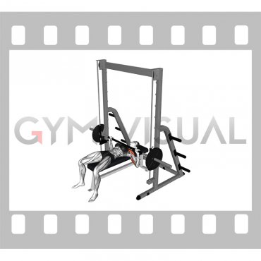 Smith Bench Press (female)