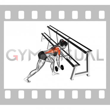 Dumbbell One Arm Row (rack support) (female)