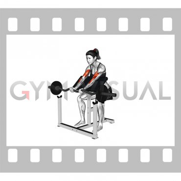 EZ Barbell Close Grip Preacher Curl (female)