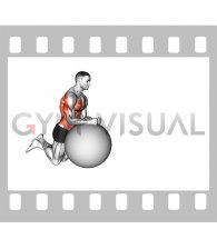 Stability Ball Rollout on Knees (male)