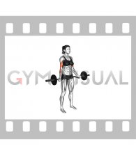 EZ Barbell Standing Wide Grip Biceps Curl (female)