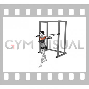 Band Standing Alternate Chest Press (female)