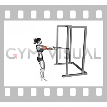 Band Horizontal Biceps Curl (female)