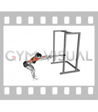 Band Bent Over Lat Pulldown (female)