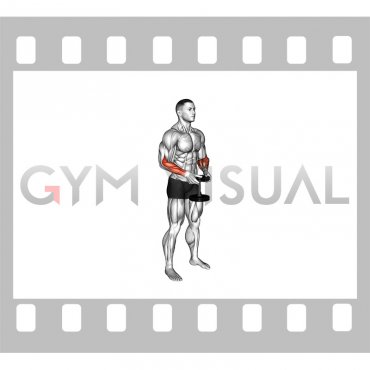 Dumbbell Standing Hands Torsion (male)