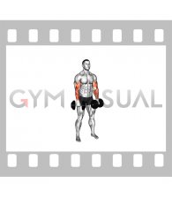 Dumbbell Standing Reverse Curl Rotate (male)