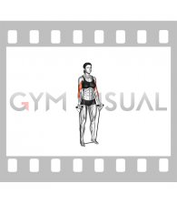 Band Standing Biceps Curl (female)