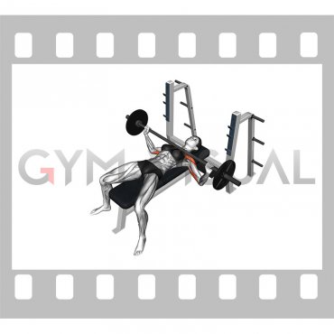 Barbell Wide Bench Press (female)