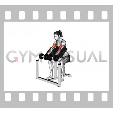 Dumbbell Zottman Preacher Curl (female)