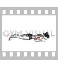 Push-up on Forearms (female)