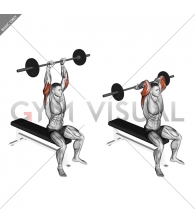 Barbell Seated Overhead Triceps Extension